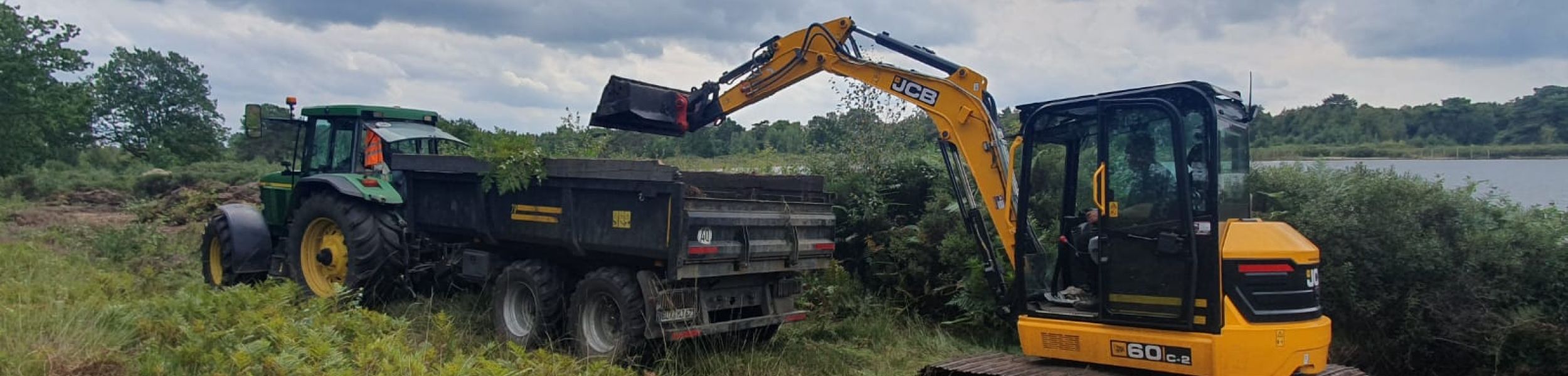 Verladung des anfallenden Materials im Rahmen der Entfernung des Adlerfarns (Foto: Landkreis Cuxhaven)