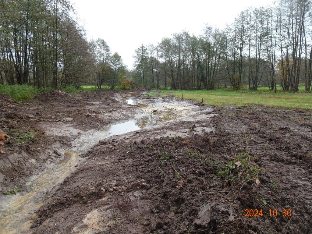 2024 10 30 Westerberge Bachlauf 16