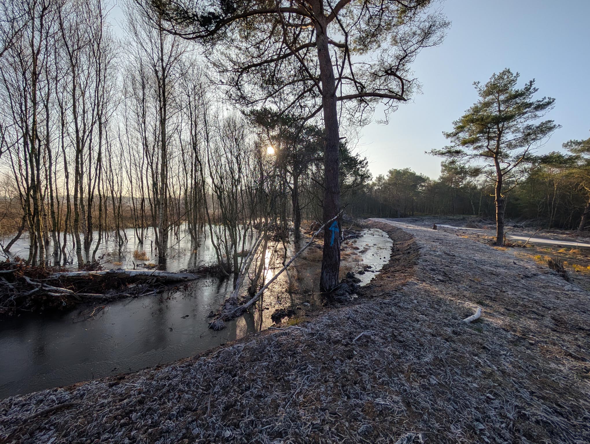 GAK Süderleda Fertig Sonne 8