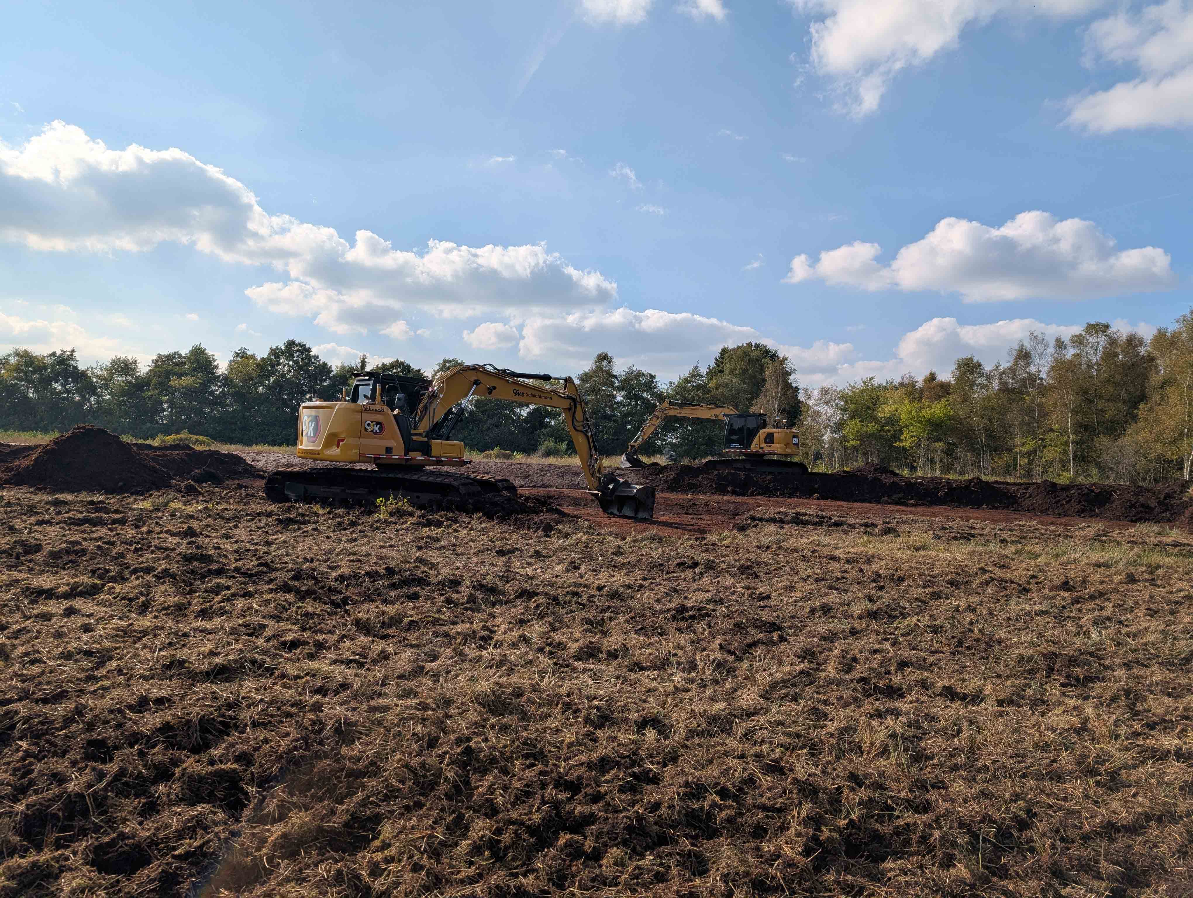 Abtrag vererdeter Oberboden