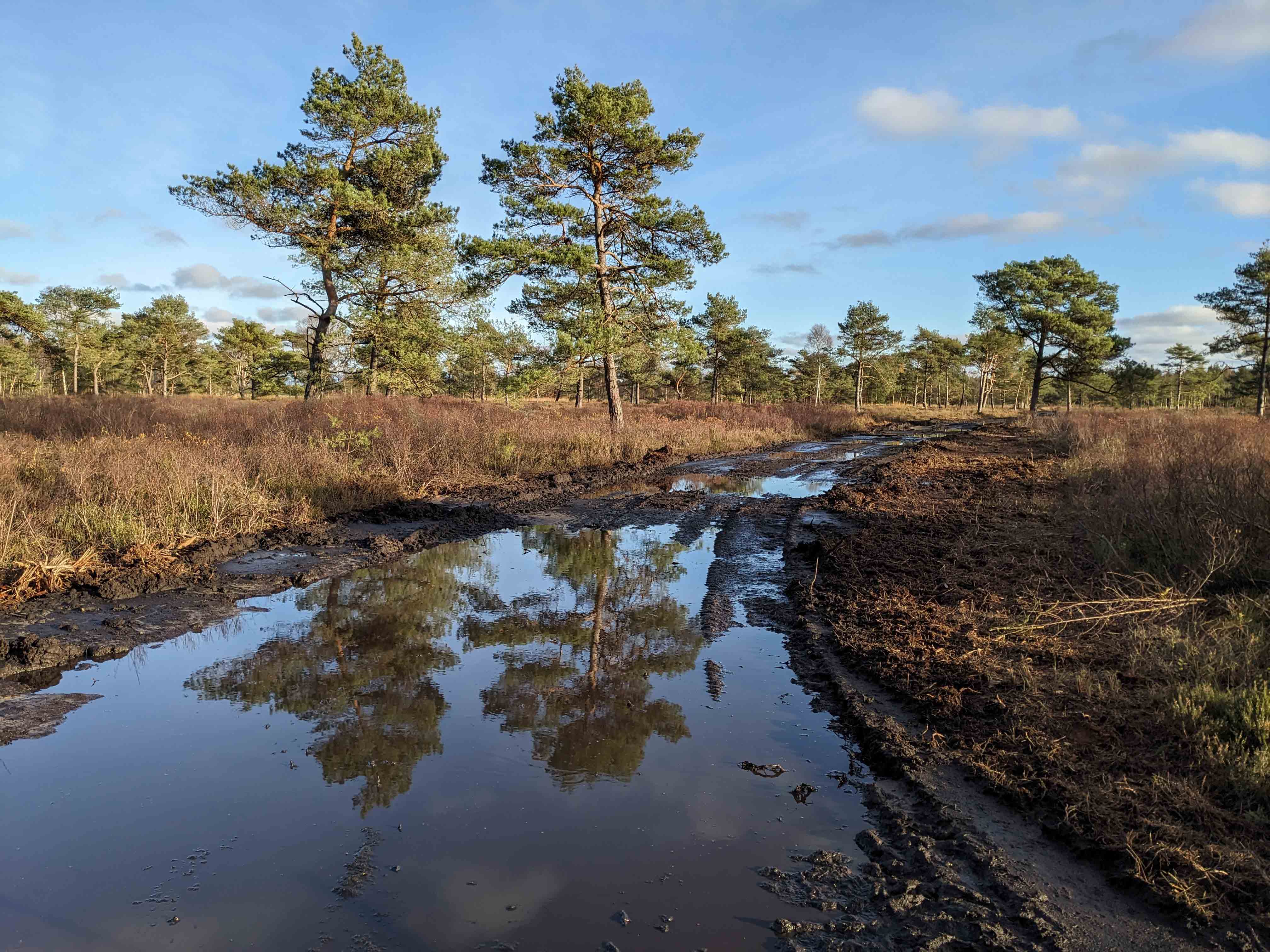 Ortskontrollen