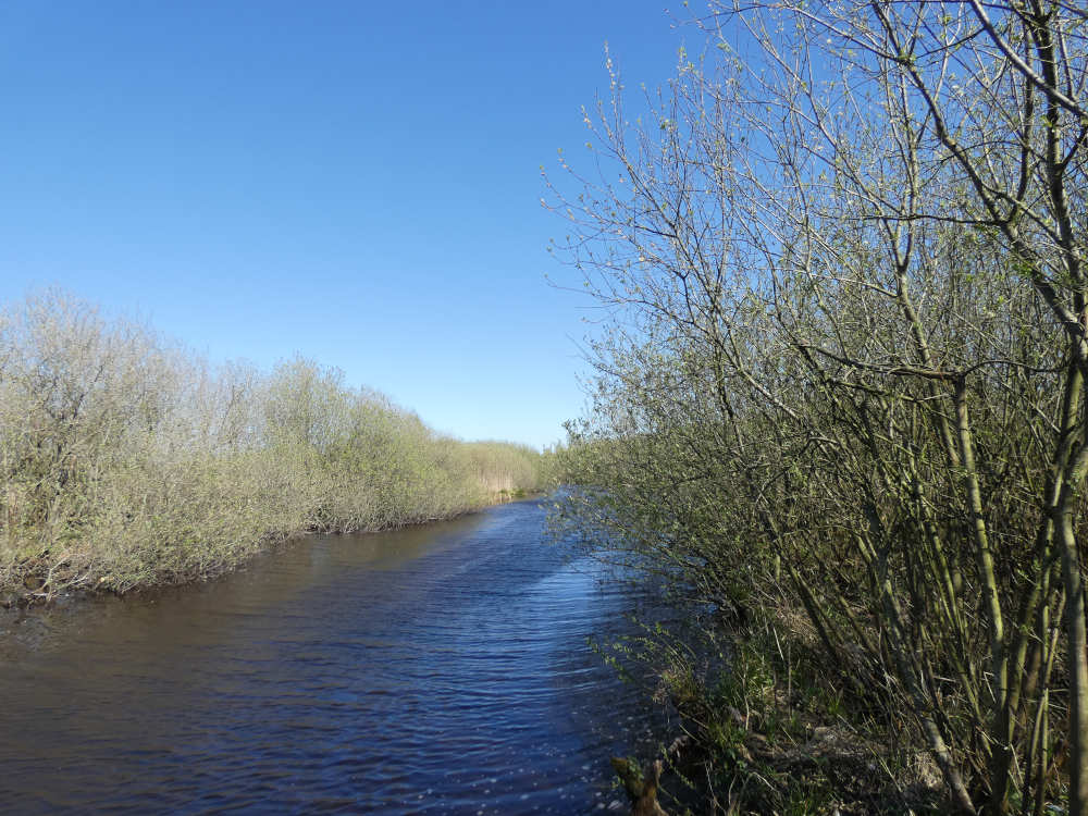  Ahlenmoor 2 - Flögelner See