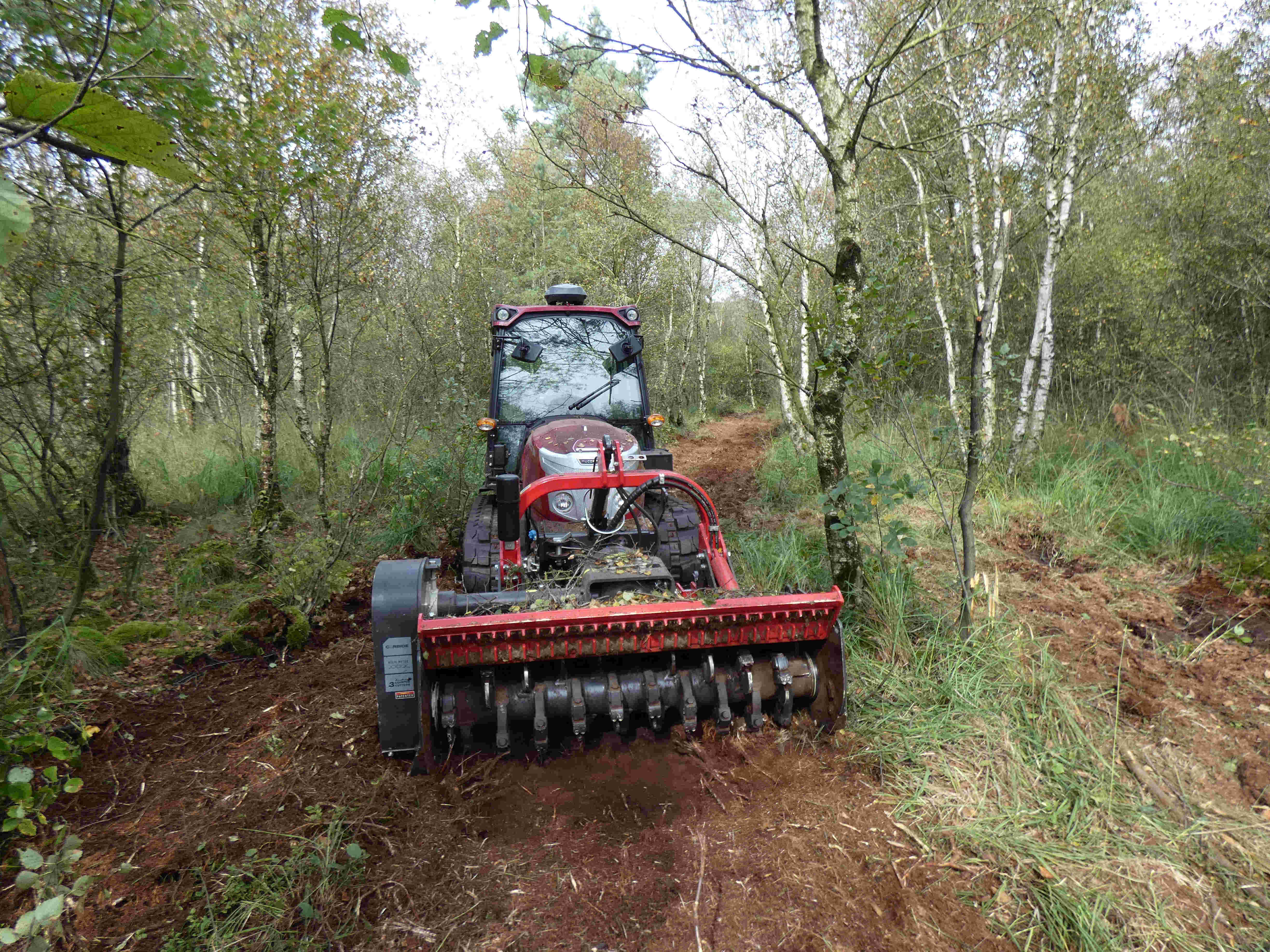 Moorraupe Copyright Naturschutzstiftung LK CUX