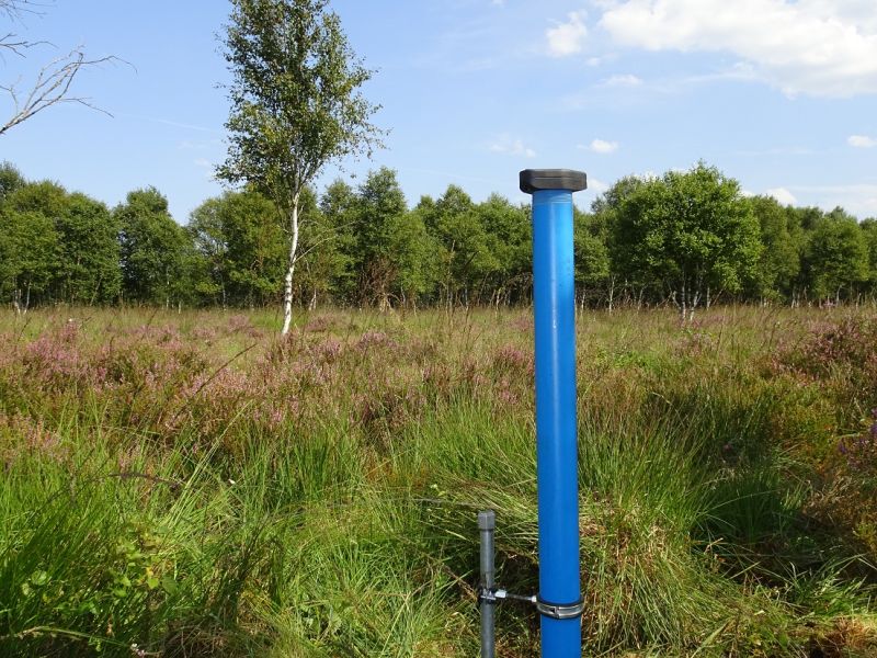 Moorwassermonitoring