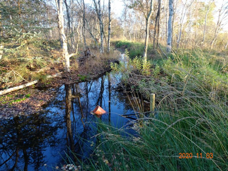 Wasserstandskontrolle