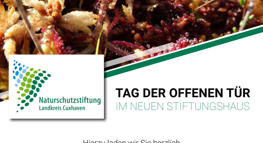Tag der Offenen Tür Stiftungshaus 23.09.2023