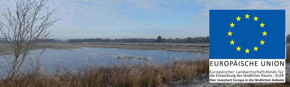 Konzeptentwicklung zur Reduzierung von Nährstofffrachten in den Dahlemer See
