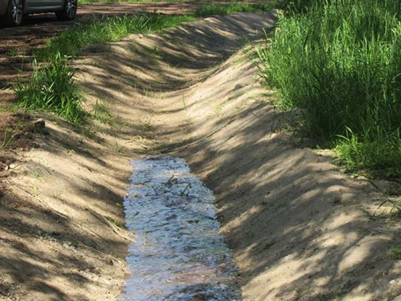 Naturschutzstiftung Cuxhaven Aktuelle Projekte Wassermuehle Deelbruegge03