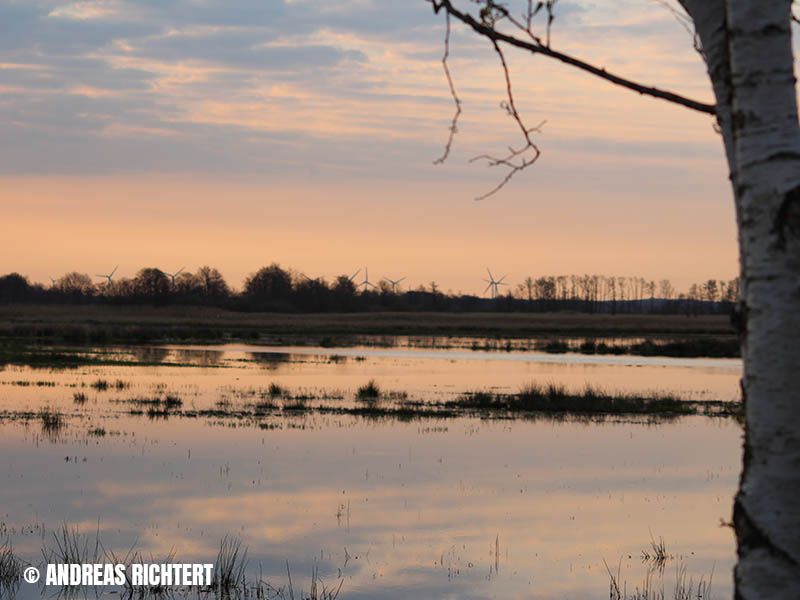 Naturschutzstiftung Cuxhaven Aktuelles Stinstedter See Copyright04