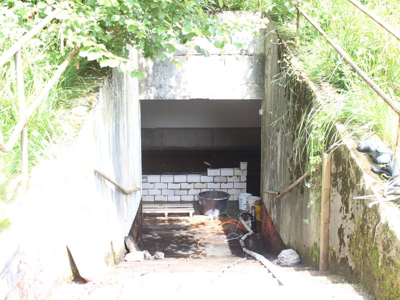 Naturschutzstiftung Cuxhaven Foerderung Fledermausbunker 05