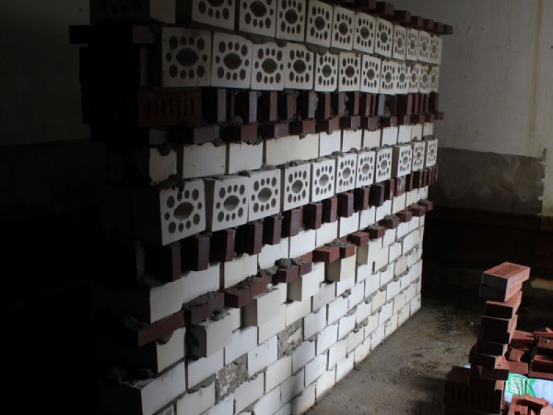 Naturschutzstiftung Cuxhaven Foerderung Fledermausbunker 06