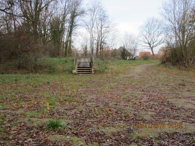 Naturschutzstiftung Cuxhaven Foerderung Fledermausbunker 09