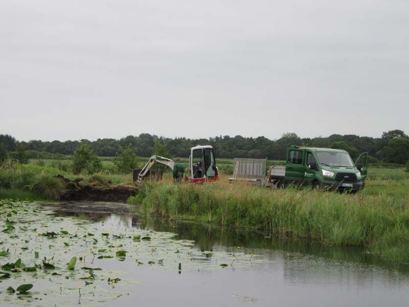 Naturschutzstiftung Cuxhaven Projekte Aktuelle Projekte Eisvogelnisten 01