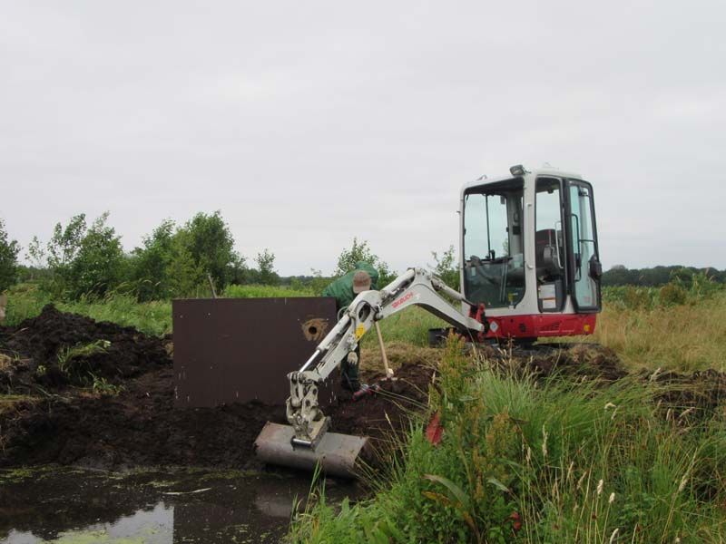 Naturschutzstiftung Cuxhaven Projekte Aktuelle Projekte Eisvogelnisten 02