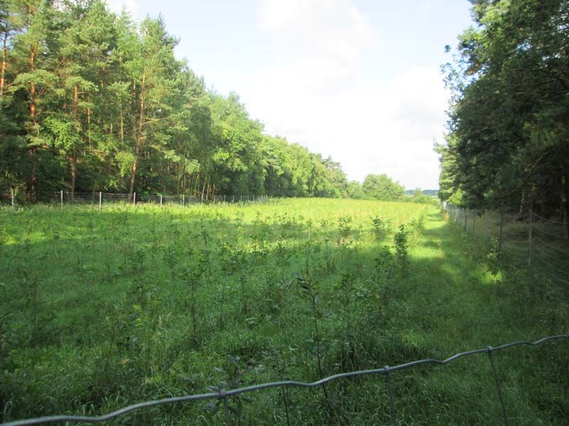 Naturschutzstiftung Cuxhaven Projekte Aktuelle Projekte Kuhl Undd Tiefenmoor 07