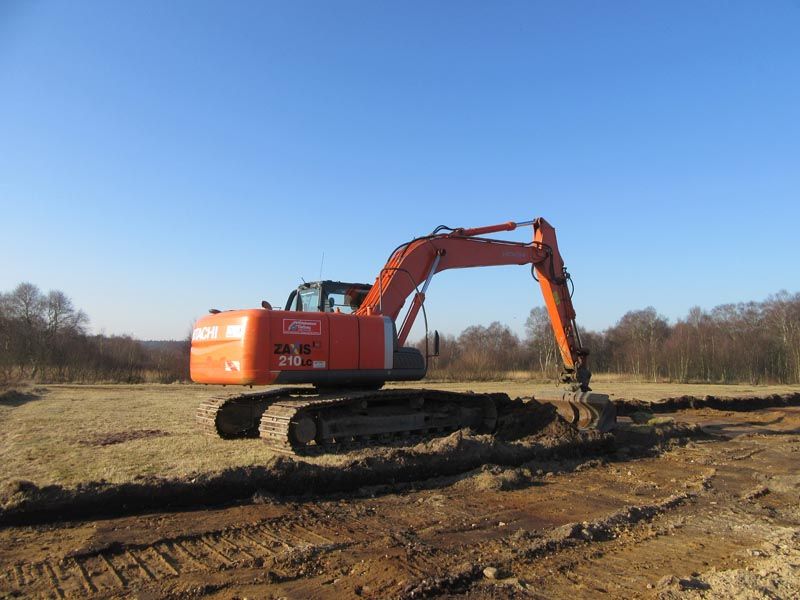 Naturschutzstiftung Cuxhaven Projekte Aktuelle Projekte Wallheckenpflege 03