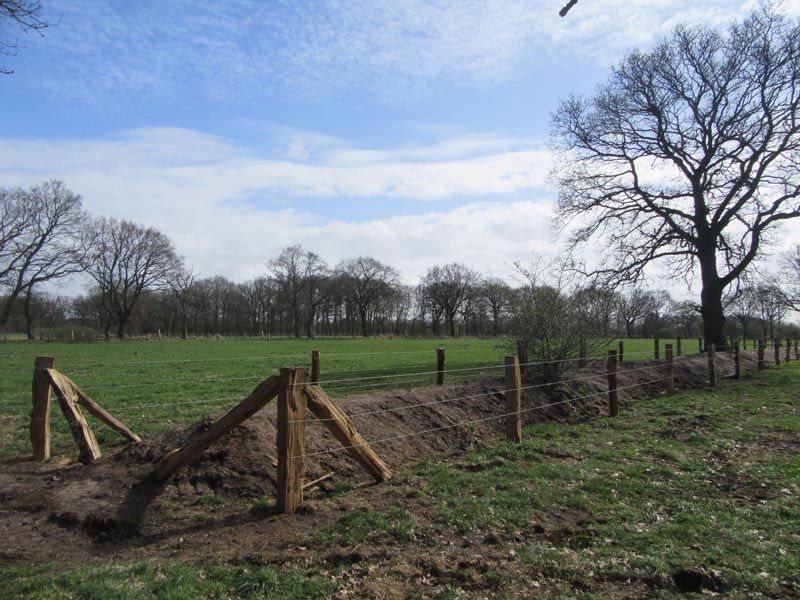 Naturschutzstiftung Cuxhaven Projekte Aktuelle Projekte Wallheckenpflege 04