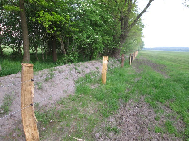 Naturschutzstiftung Cuxhaven Projekte Aktuelle Projekte Wallheckenpflege 05