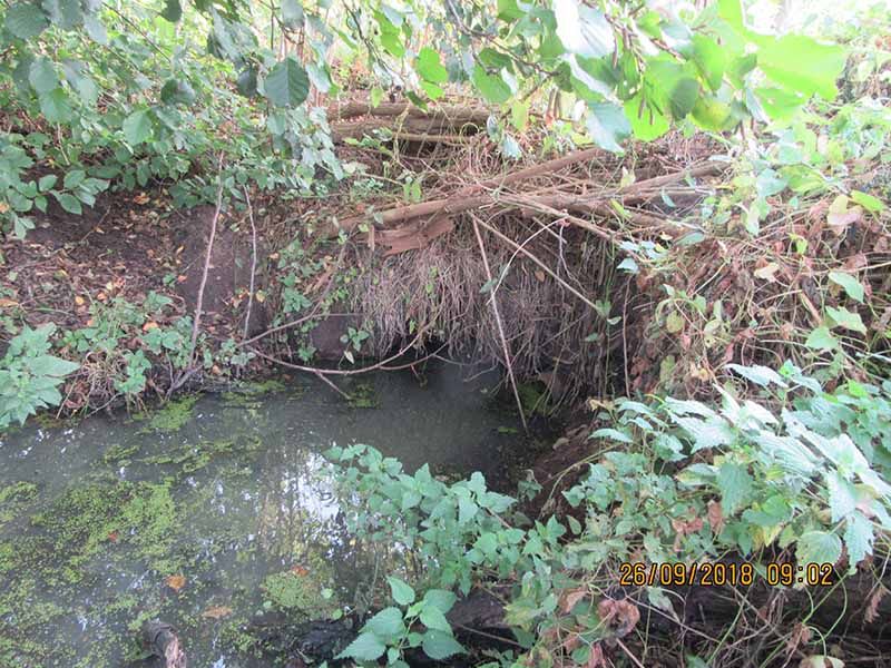 Naturschutzstiftung Cuxhaven Projekte Aktuelle Projekte Wassermuehle Deelbruegge 2018 02