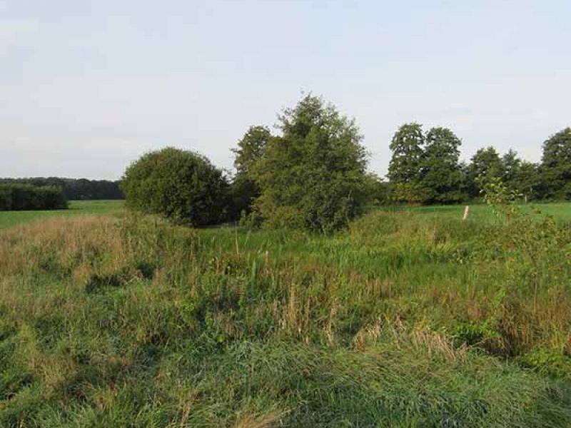 Naturschutzstiftung Cuxhaven Projekte Aktuelle Projekte Wassermuehle Deelbruegge 2018 03