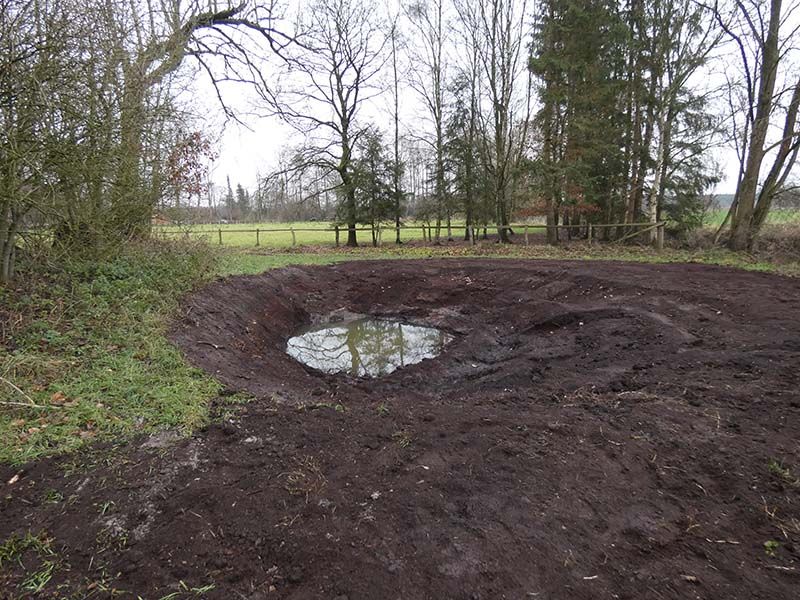 Naturschutzstiftung Cuxhaven Projekte Aktuelle Projekte Wassermuehle Deelbruegge 2019 09