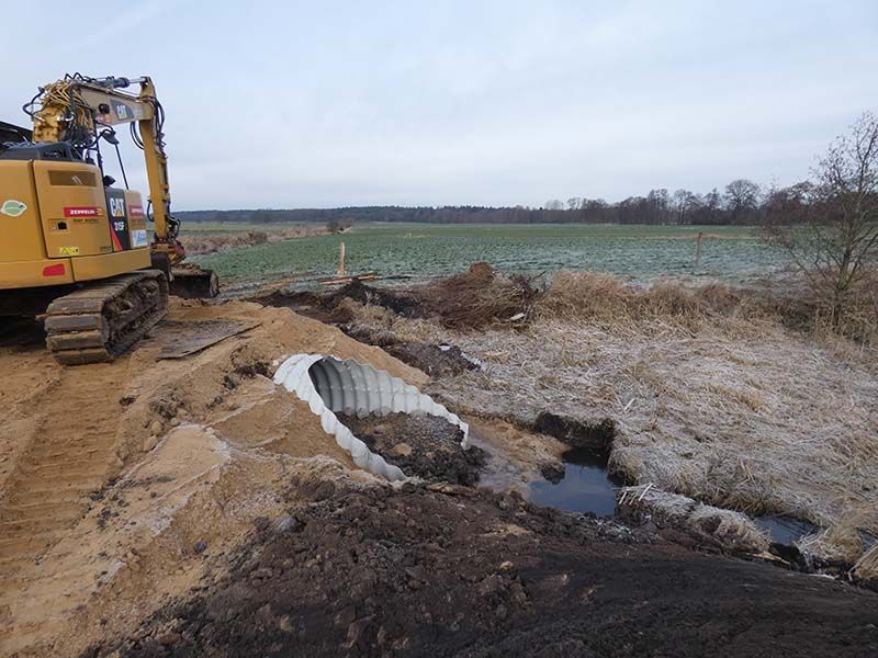 Naturschutzstiftung Cuxhaven Projekte Aktuelle Projekte Wassermuehle Deelbruegge 2019 10