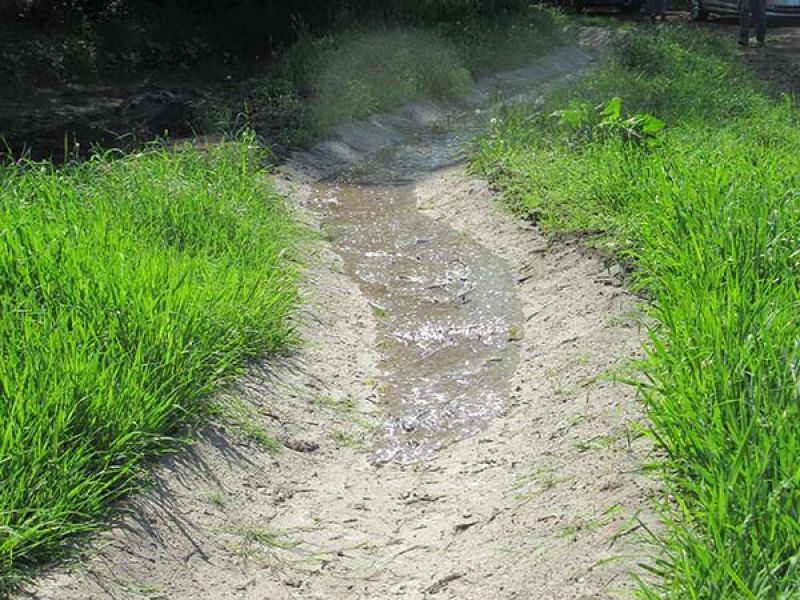 Naturschutzstiftung Cuxhaven Projekte Aktuelle Projekte Wassermuehle Deelbruegge 2019 14