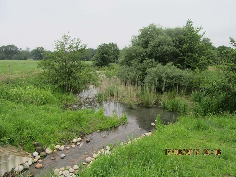 Naturschutzstiftung Cuxhaven Projekte Aktuelle Projekte Wassermuehle Deelbruegge 2019 15