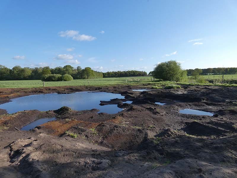 Naturschutzstiftung Cuxhaven Projekte Aktuelle Projekte Wassermuehle Deelbruegge 2019 16