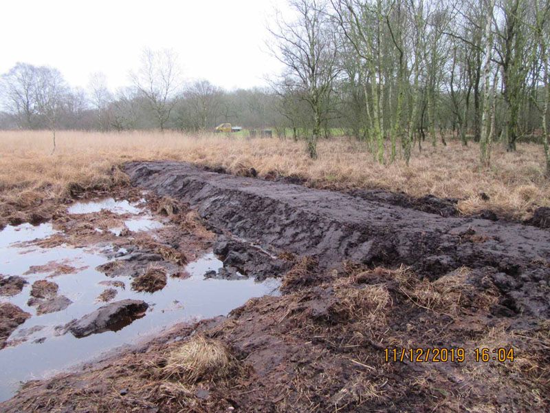 Naturschutzstiftung Cuxhaven Projekte Klimamoor Bauphase I 2019 03