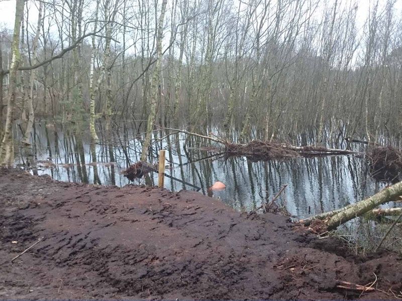 Naturschutzstiftung Cuxhaven Projekte Klimamoor Bauphase I 2019 06