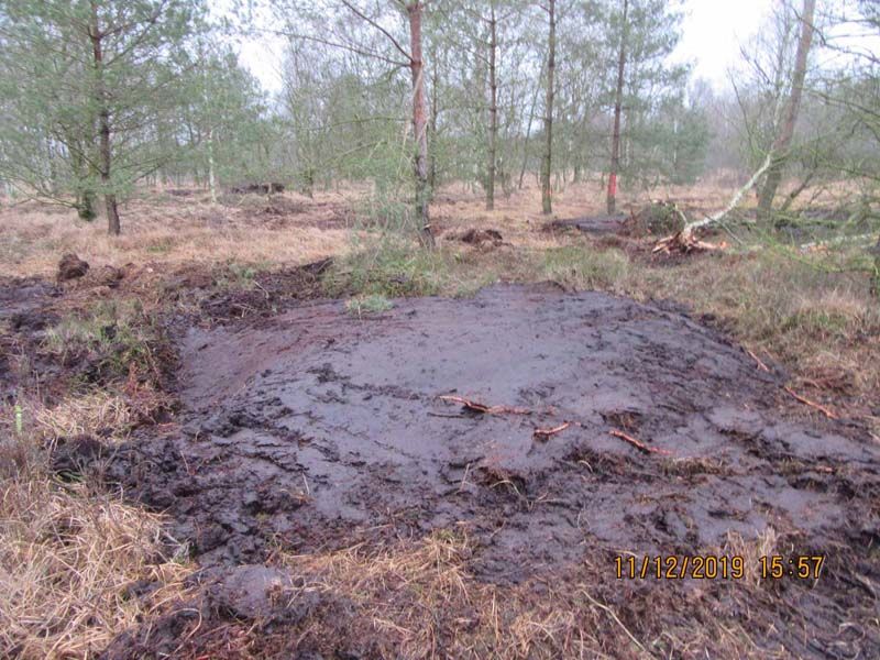 Naturschutzstiftung Cuxhaven Projekte Klimamoor Bauphase I 2019 07