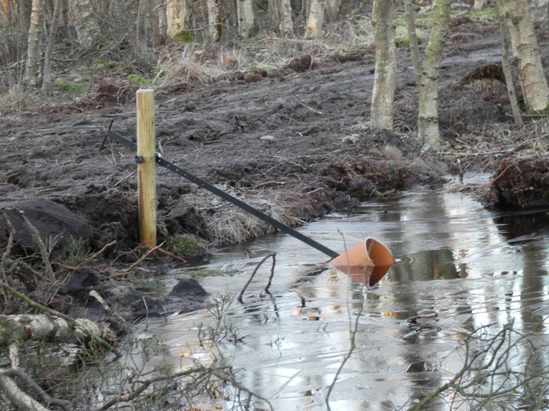 Naturschutzstiftung Cuxhaven Projekte Klimamoor Nach Bauphase I 01 2020 03