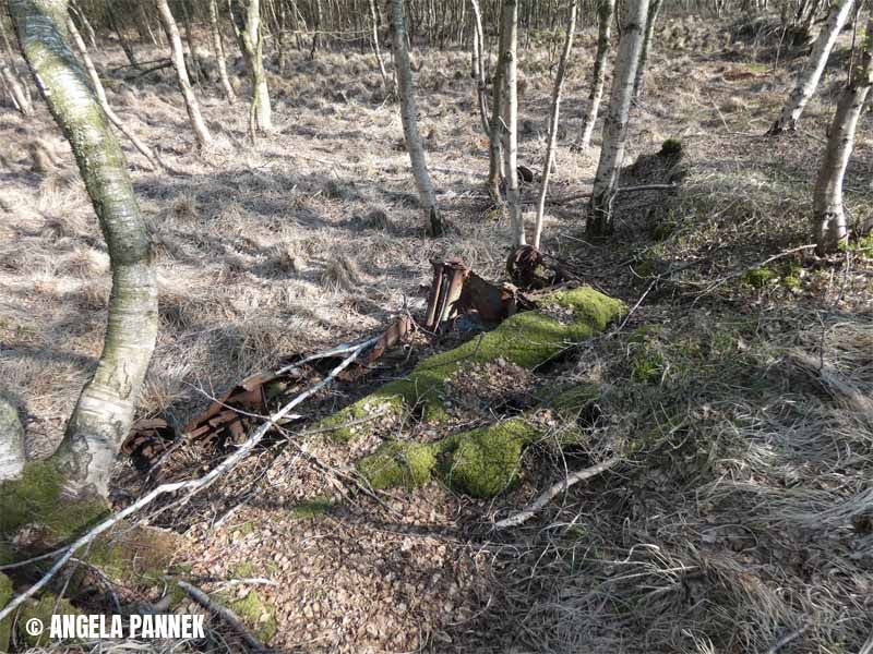 Naturschutzstiftung Cuxhaven Projekte Langenmoor 07