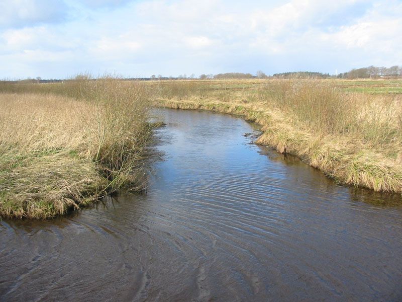 Naturschutzstiftung Cuxhaven Projekte Obere Emmelke Niederung 2008 04