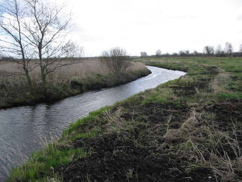 Naturschutzstiftung Cuxhaven Projekte Obere Emmelke Niederung 2008 06