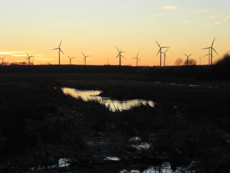 Naturschutzstiftung Cuxhaven Projekte Obere Emmelke Niederung 2018 02