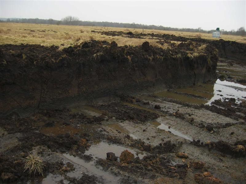 Naturschutzstiftung Cuxhaven Projekte Obere Emmelke Niederung Baumassnahmen 2003 01