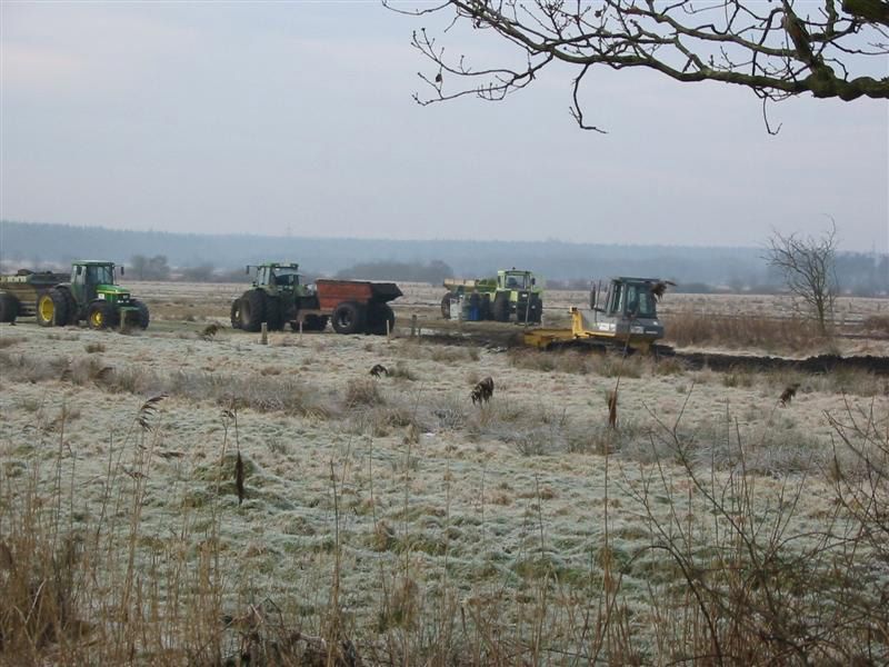 Naturschutzstiftung Cuxhaven Projekte Obere Emmelke Niederung Baumassnahmen 2003 04