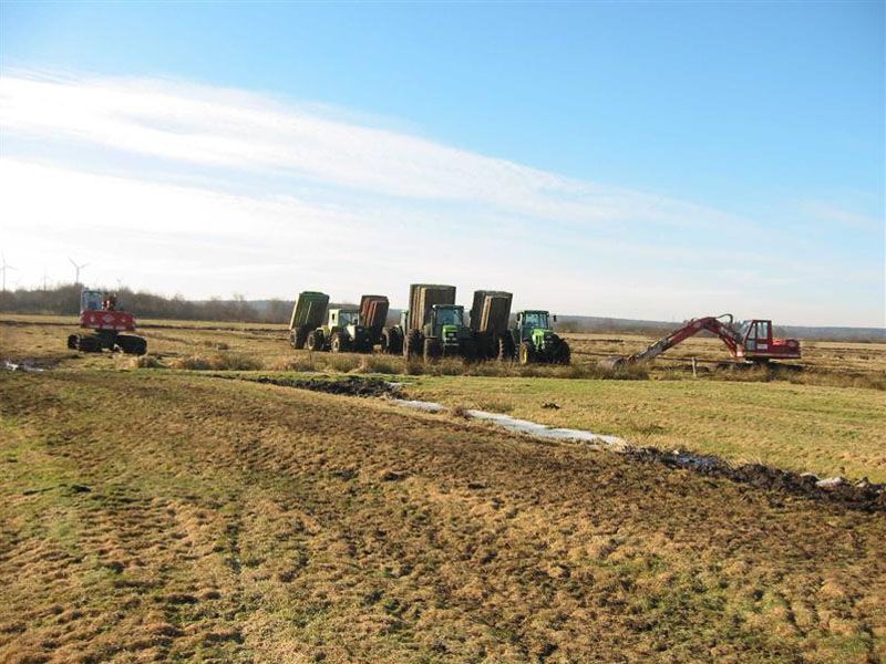 Naturschutzstiftung Cuxhaven Projekte Obere Emmelke Niederung Baumassnahmen 2003 05