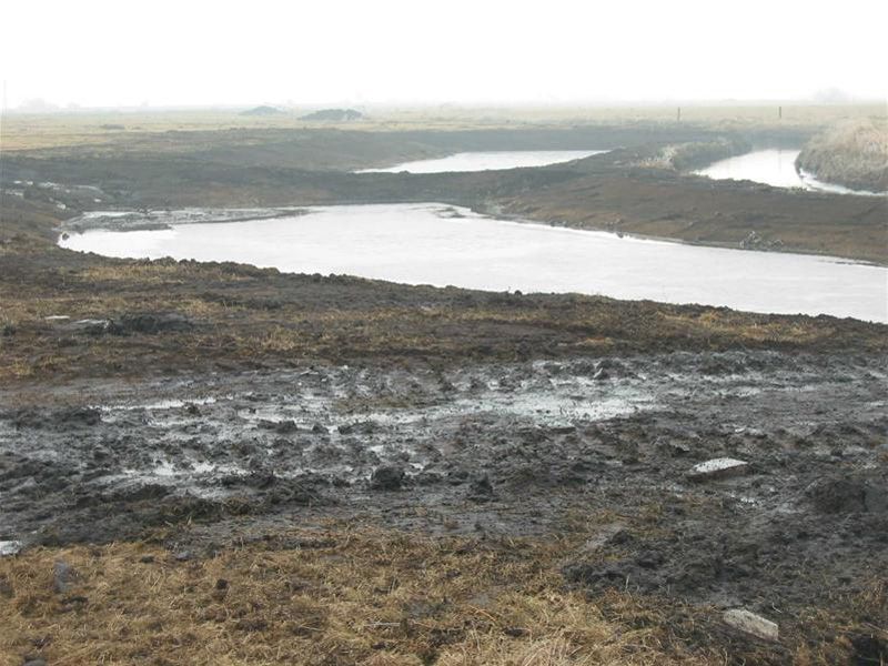 Naturschutzstiftung Cuxhaven Projekte Obere Emmelke Niederung Baumassnahmen 2003 07