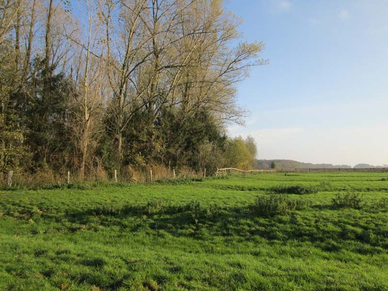 Naturschutzstiftung Cuxhaven Projekte Ostebogen Bei Neuhaus 01