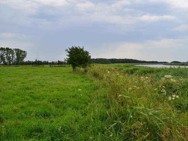 Naturschutzstiftung Cuxhaven Projekte Ostebogen Bei Neuhaus 02