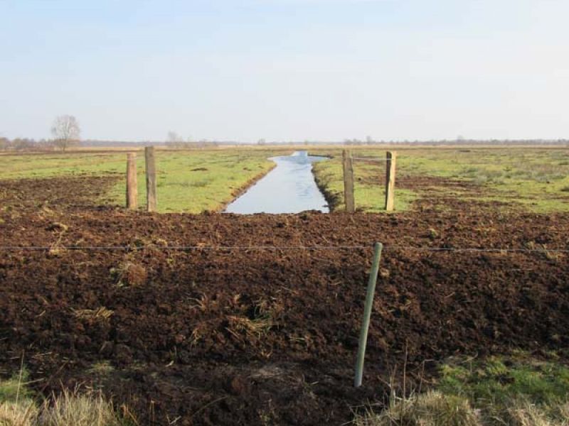 Naturschutzstiftung Cuxhaven Projekte Projektgebiete Ahlenmoor Bauphase 01