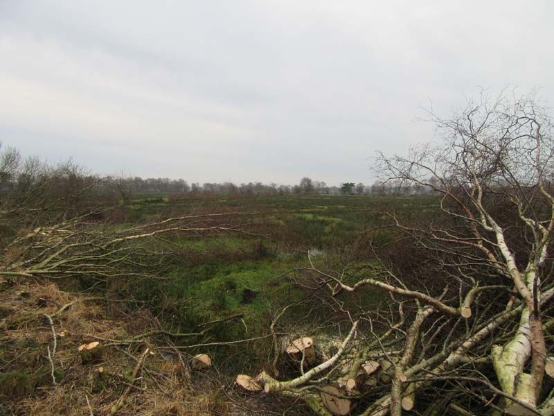 Naturschutzstiftung Cuxhaven Projekte Projektgebiete Ahlenmoor Bauphase 03