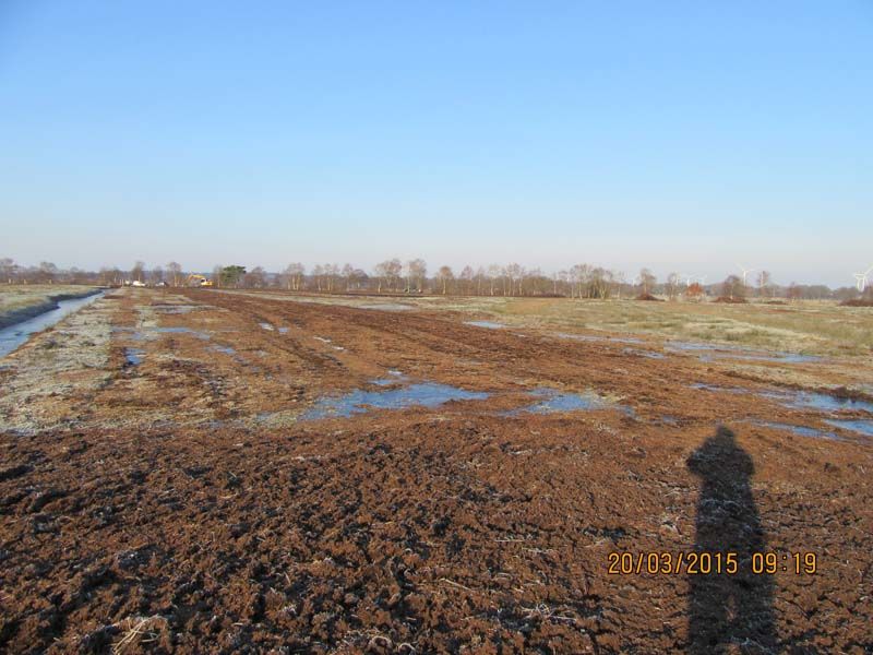 Naturschutzstiftung Cuxhaven Projekte Projektgebiete Ahlenmoor Bauphase 06