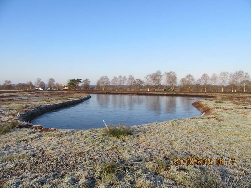 Naturschutzstiftung Cuxhaven Projekte Projektgebiete Ahlenmoor Bauphase 08