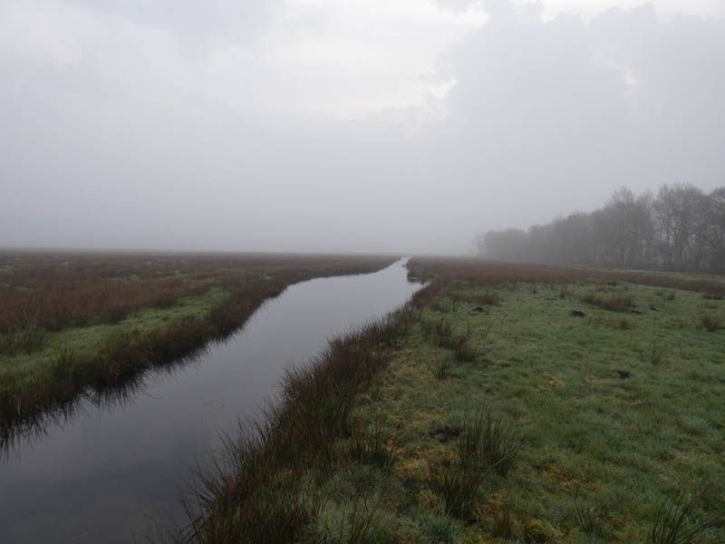 Naturschutzstiftung Cuxhaven Projekte Projektgebiete Ahlenmoor Entwicklung Bis 2019 02