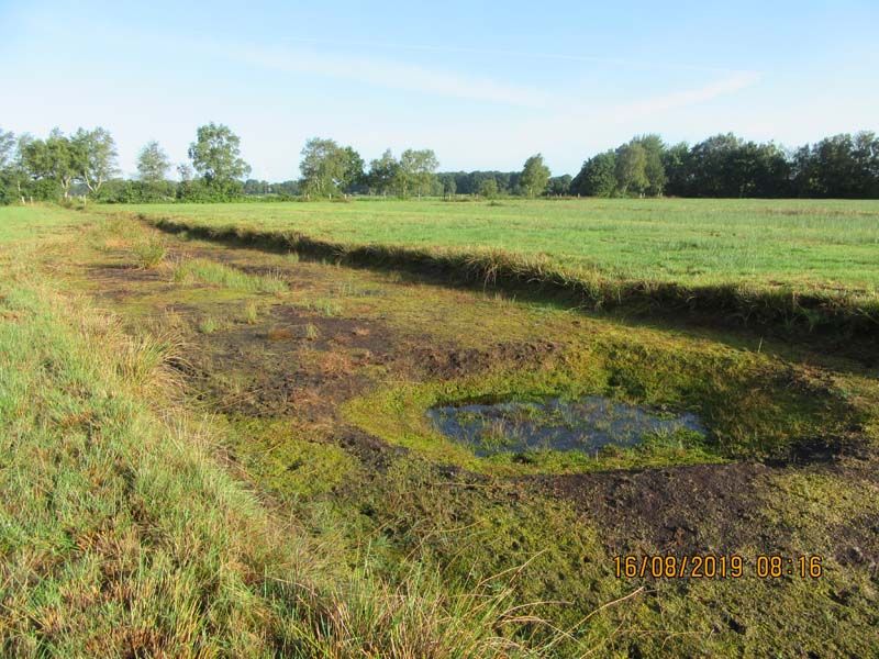 Naturschutzstiftung Cuxhaven Projekte Projektgebiete Ahlenmoor Entwicklung Bis 2019 12