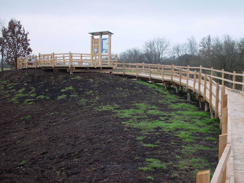 Naturschutzstiftung Cuxhaven Projekte Projektgebiete Beerster Wischen 01